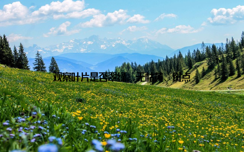 观察叶片是否翠绿, 无枯黄、斑点