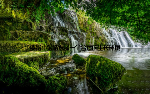 要给小金桔选择一个合适的生长环境