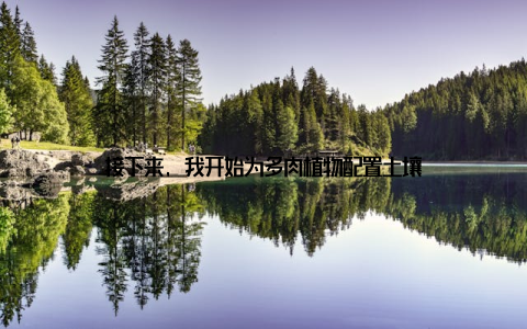 接下来, 我开始为多肉植物配置土壤