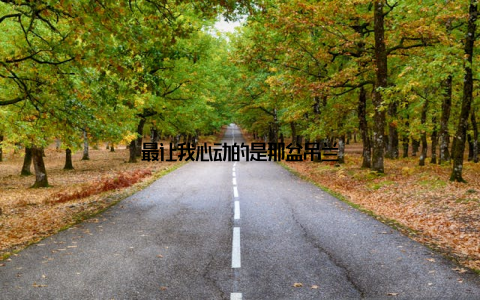 最让我心动的是那盆吊兰