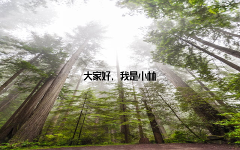 大家好, 我是小林