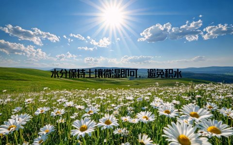 水分保持土壤微湿即可, 避免积水