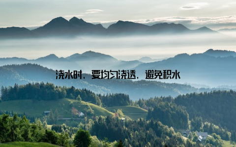 浇水时, 要均匀浇透, 避免积水