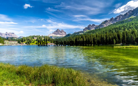 因此, 浇水时要掌握好分寸