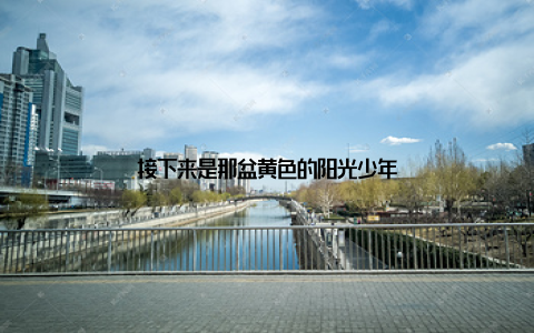 接下来是那盆黄色的阳光少年