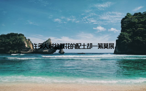 许多人对盆栽花的配土却一筹莫展