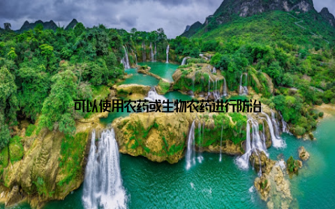 可以使用农药或生物农药进行防治