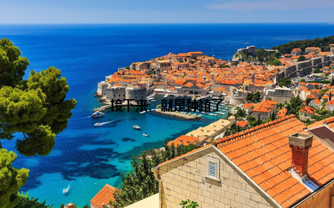 接下来, 就是种植了