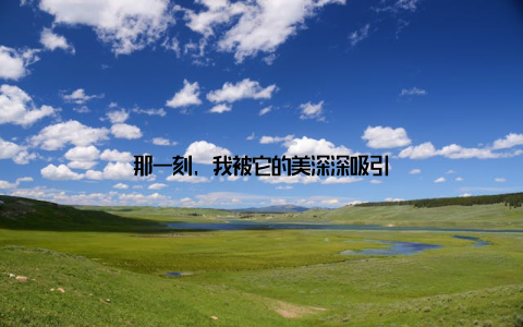 那一刻, 我被它的美深深吸引