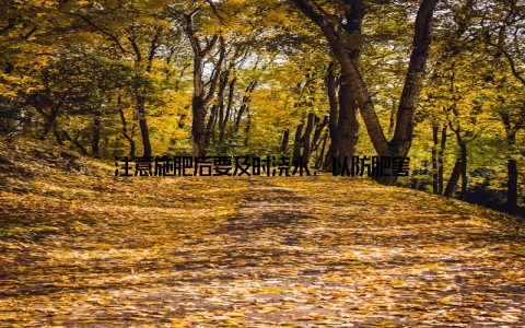 注意施肥后要及时浇水, 以防肥害