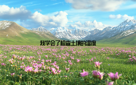 我学会了检查土壤的湿度