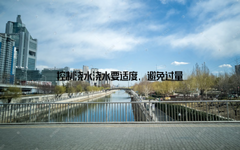 控制浇水浇水要适度, 避免过量