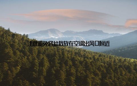 注意避免将盆栽放在空调出风口附近