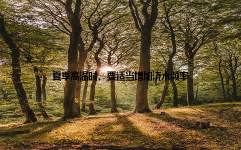 夏季高温时, 要适当增加浇水频率