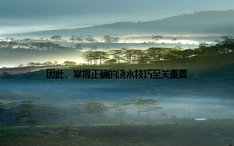 因此, 掌握正确的浇水技巧至关重要