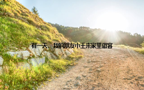 有一天, 我的朋友小王来家里做客