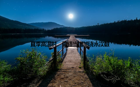 夏季高温时, 需适当增加浇水次数