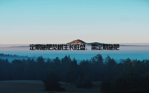 定期施肥苋树生长旺盛, 需定期施肥