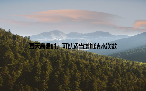 夏天高温时, 可以适当增加浇水次数