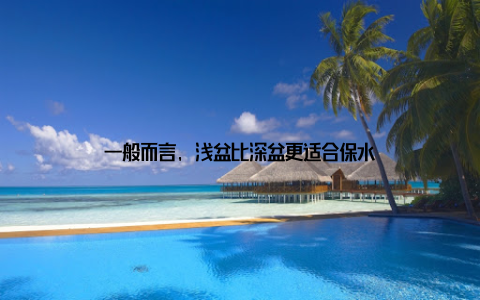 一般而言, 浅盆比深盆更适合保水