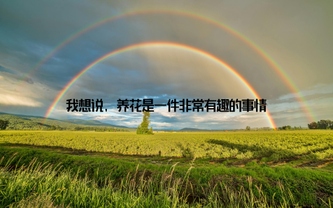 我想说, 养花是一件非常有趣的事情