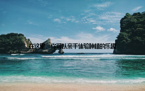 在这里, 你可以亲手体验种植的乐趣