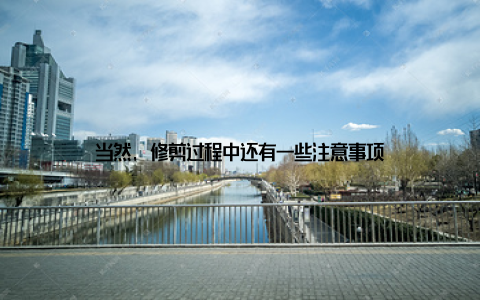 当然, 修剪过程中还有一些注意事项