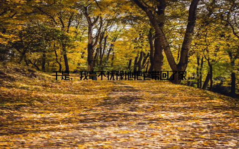 于是, 我毫不犹豫地把它带回了家