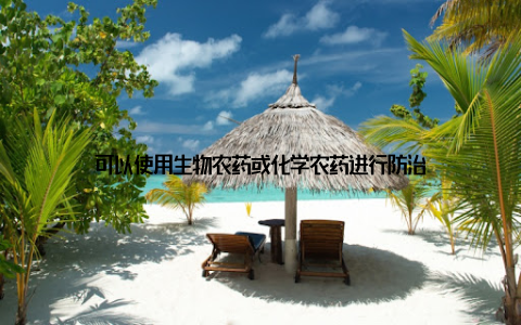 可以使用生物农药或化学农药进行防治