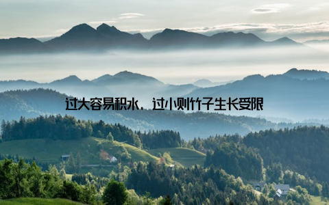 过大容易积水, 过小则竹子生长受限