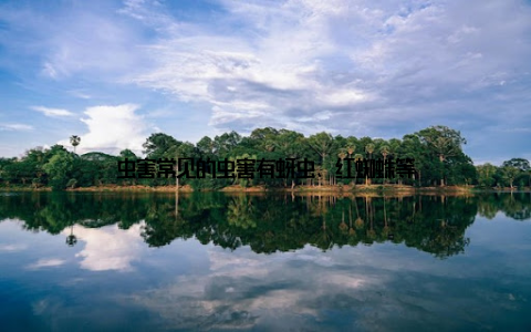 虫害常见的虫害有蚜虫、红蜘蛛等