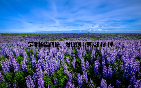 定期检查植株, 发现病虫害及时处理