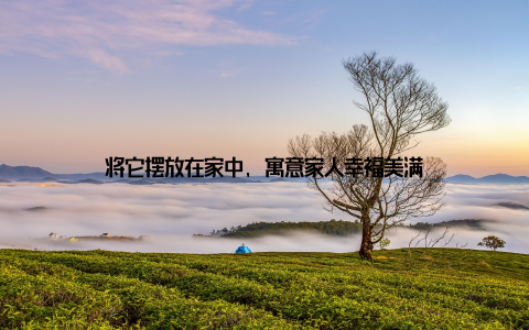 将它摆放在家中, 寓意家人幸福美满