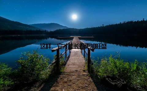 这样, 它才能长得更加旺盛