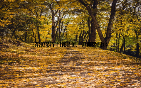 浇水保持土壤湿润, 但避免积水