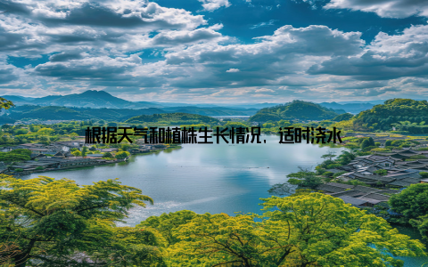 根据天气和植株生长情况, 适时浇水