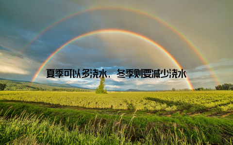 夏季可以多浇水, 冬季则要减少浇水