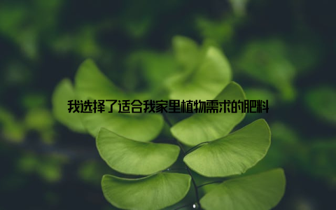 我选择了适合我家里植物需求的肥料