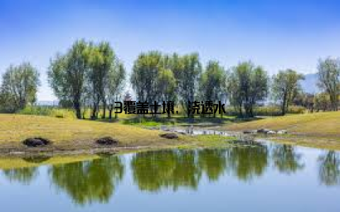 3覆盖土壤, 浇透水