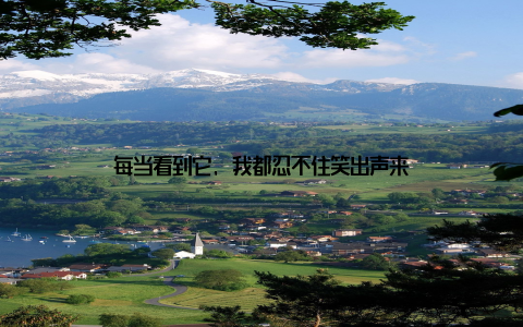 每当看到它, 我都忍不住笑出声来