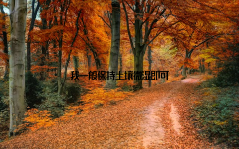 我一般保持土壤微湿即可