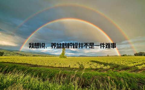 我想说, 养盆栽柠檬并不是一件难事