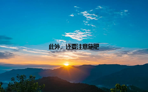 此外, 还要注意施肥