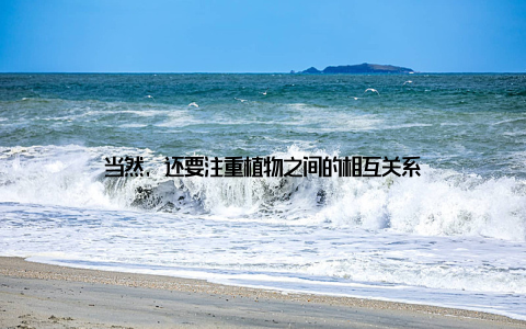 当然, 还要注重植物之间的相互关系