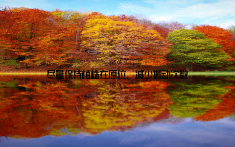 尽量保持植株在原位, 减少搬动次数