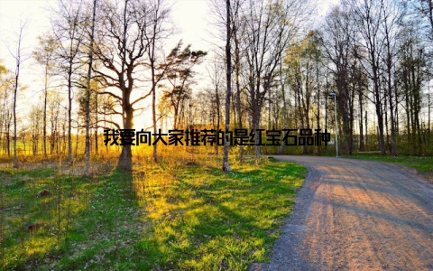 我要向大家推荐的是红宝石品种