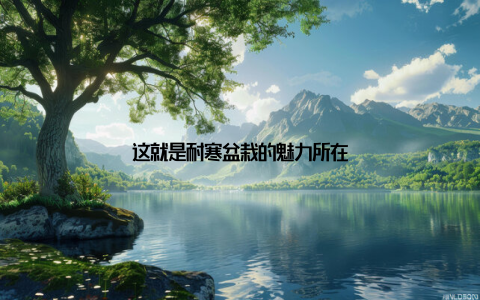 这就是耐寒盆栽的魅力所在