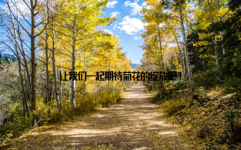 让我们一起期待菊花的绽放吧!