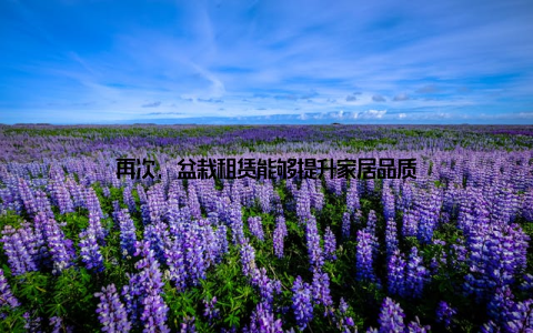 再次, 盆栽租赁能够提升家居品质