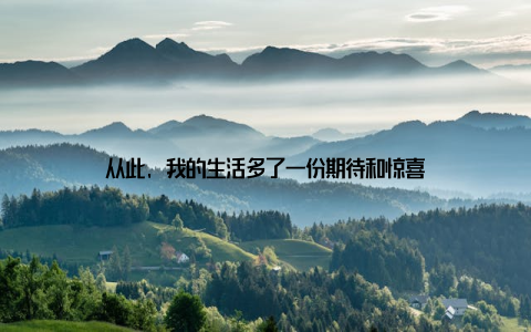 从此, 我的生活多了一份期待和惊喜